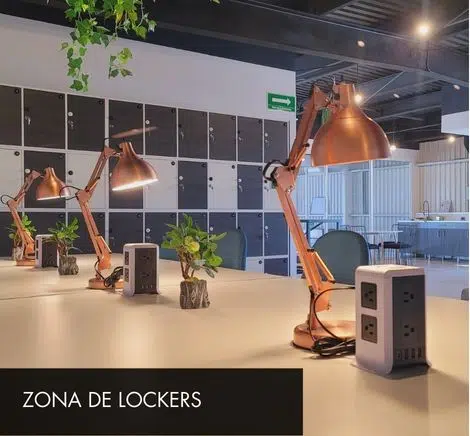 ESPACIOS Galeria Zona de lockers