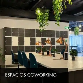 Espacios Coworking Mosaico