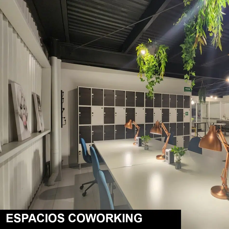 espacios abiertos de coworking